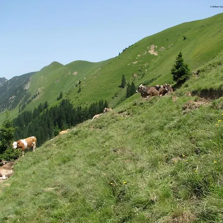 Mountain Oberstdorf